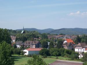 eine Stadt mit Häusern und Bäumen und einem Hügel in der Unterkunft Ferienwohnung E.F. Schaper in Stadtoldendorf