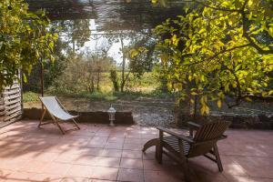 zwei Stühle auf einer Terrasse unter einem Baum in der Unterkunft Domaine de la Marseillaise in La Crau