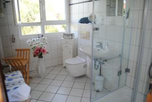 a bathroom with a toilet and a sink at Fewo Schwalbennest am Meer-exklusiv-eigener Strandzugang in Kühlungsborn
