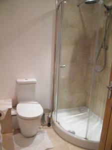 a bathroom with a toilet and a glass shower at Higher Greenway Annexe in Brixham