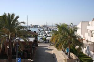 ヴィラモウラにあるCasa da marinaの椰子の木と港のある街道