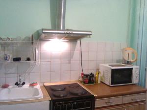 キロフスクにあるLeningradskaya 30のキッチン(コンロ、電子レンジ付)