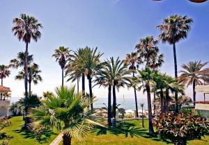 Un grupo de palmeras en un parque con el océano. en Apartamentos Playa Torrecilla, en Nerja