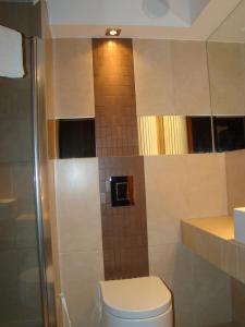 コウォブジェクにあるApartamenty w Arka Medical Spaのバスルーム(トイレ、ガラス張りのシャワー付)