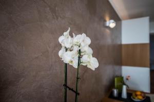 Fotografie z fotogalerie ubytování Hotel Freisicht v destinaci Hagnau