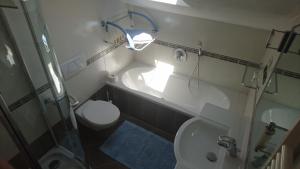 a bathroom with a shower and a toilet and a sink at Apartments Blumenheim in Castelrotto +14 photos