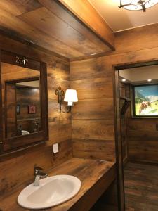 ein Badezimmer mit Holzwänden, einem Waschbecken und einem TV in der Unterkunft Hotel Berghof Graml in Hallwang