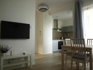 Kuchyňa alebo kuchynka v ubytovaní Baltica Sea Apartment
