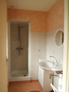 a bathroom with a sink and a shower with a shower at La Robini&egrave;re in Cerisy-la-Salle