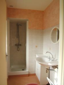 ein Bad mit einem Waschbecken und einer Dusche mit einer Dusche in der Unterkunft La Robinière in Cerisy-la-Salle