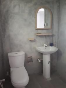 a bathroom with a toilet and a sink and a mirror at New Sam Tourist Inn in Weligama