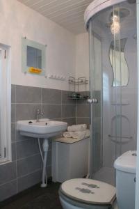 een badkamer met een toilet, een wastafel en een douche bij Luxury studio on Robs houseboat special for couples in Amsterdam