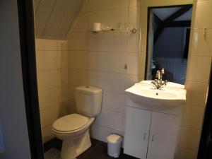 a bathroom with a toilet and a sink at B & B Eindelinge in Serooskerke +7 photos