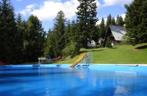 a swimming pool with a slide in the middle at OW Wisan in Baligród