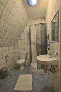 a bathroom with a toilet and a sink and a shower at Noclegi Brzegi in Brzegi