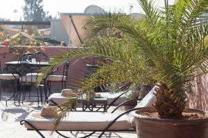 Fotografie z fotogalerie ubytování Riad Djemanna v Marrákéši