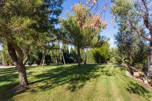 a large grass field with trees in a park at Quinta da Alquimia in Lagos