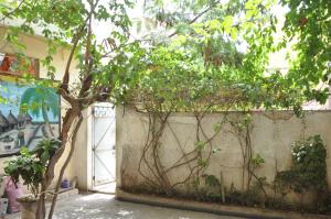 a tree in front of a wall with a gate at Chez Agnes in Dakar