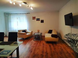 salon z kanapami i telewizorem z płaskim ekranem w obiekcie Apartment Koblenz w Koblencji
