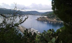 a view of a harbor with boats in the water at Casa Vacanze Porto Azzurro in Porto Azzurro