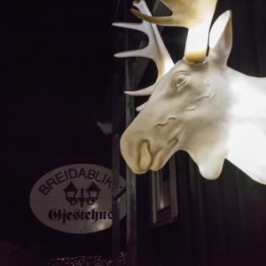 Zvířata v hotelu nebo okolí
