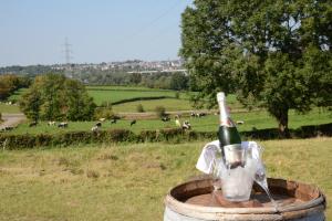 Foto dalla galleria di Les Coteaux du Vinave a Herve