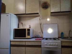 リヴィウにあるApartments in Lviv Centerのキッチン(電子レンジ、コンロ付)