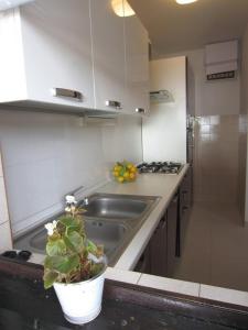 Fotografie z fotogalerie ubytování Holiday home Zdenka v destinaci Okrug Donji