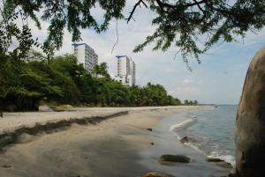 una playa con árboles y edificios en el fondo en Apartamento con playa privada y piscina, en Santa Marta