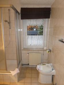 e bagno con servizi igienici, doccia e finestra. di Gaststätte & Pension Oelmuehle a Oberschöna
