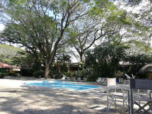 uma piscina com cadeiras, uma mesa e árvores em Best Western El Sitio Hotel & Casino em Liberia