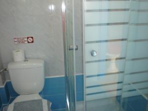 een badkamer met een toilet en een glazen douche bij Ikonomakis Apartments in Balíon