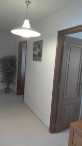 a hallway with a door and a potted plant at Apartamentos Loyo in Portomarin