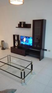 salon z telewizorem i szklanym stołem w obiekcie Apartamentos Loyo w mieście Portomarin