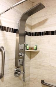 a shower with a shower head in a bathroom at Lombard Plaza Motel in San Francisco +31 photos