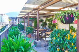 eine Terrasse mit Tischen, Stühlen und Topfpflanzen in der Unterkunft Hostal Antigua in Antigua Guatemala