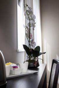 a table with a vase with a plant on it at Zara Rooms & Suites in Suzzara