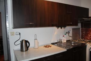 Kuchyň nebo kuchyňský kout v ubytování Apartman David + 12 fotografií