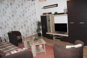 TV a/nebo společenská místnost v ubytování Apartman David