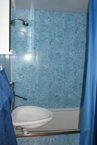 Koupelna v ubytování Apartman David