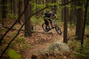 a person riding a bike on a trail in the woods at Bed & Breakfast Sirius in Glud