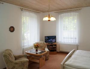 Una sala de estar con un sofá y una mesa de café. en Villa Angelika, en Kurort Altenberg
