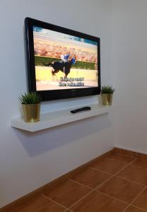 TV a/nebo společenská místnost v ubytování Apartman Lena