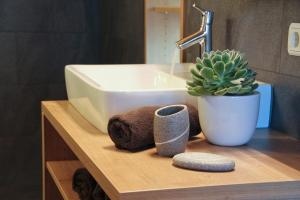 a bathroom counter with a sink and a cactus at Jaiterhof in Funes