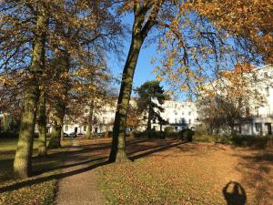 Vonkajšia záhrada v ubytovaní The Garden Apartment