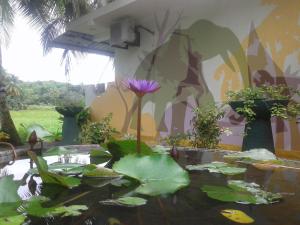 Vườn quanh Paddy Field View Resort