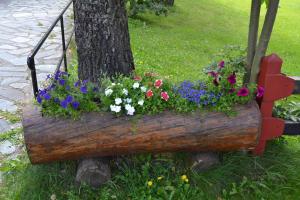 a wooden planter with flowers in a tree at Albergo Cioccarelli in Aprica