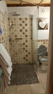 un bagno con doccia e WC di L'Olivier Chez Mamé Marthe a Vallon-Pont-dʼArc Altre 26 foto
