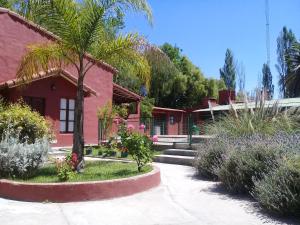 a pink house with a palm tree in front of it at El Alto de las Paredes in San Rafael