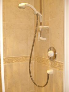 a shower with a shower head in a bathroom at Montacute Country Tearoooms in Montacute